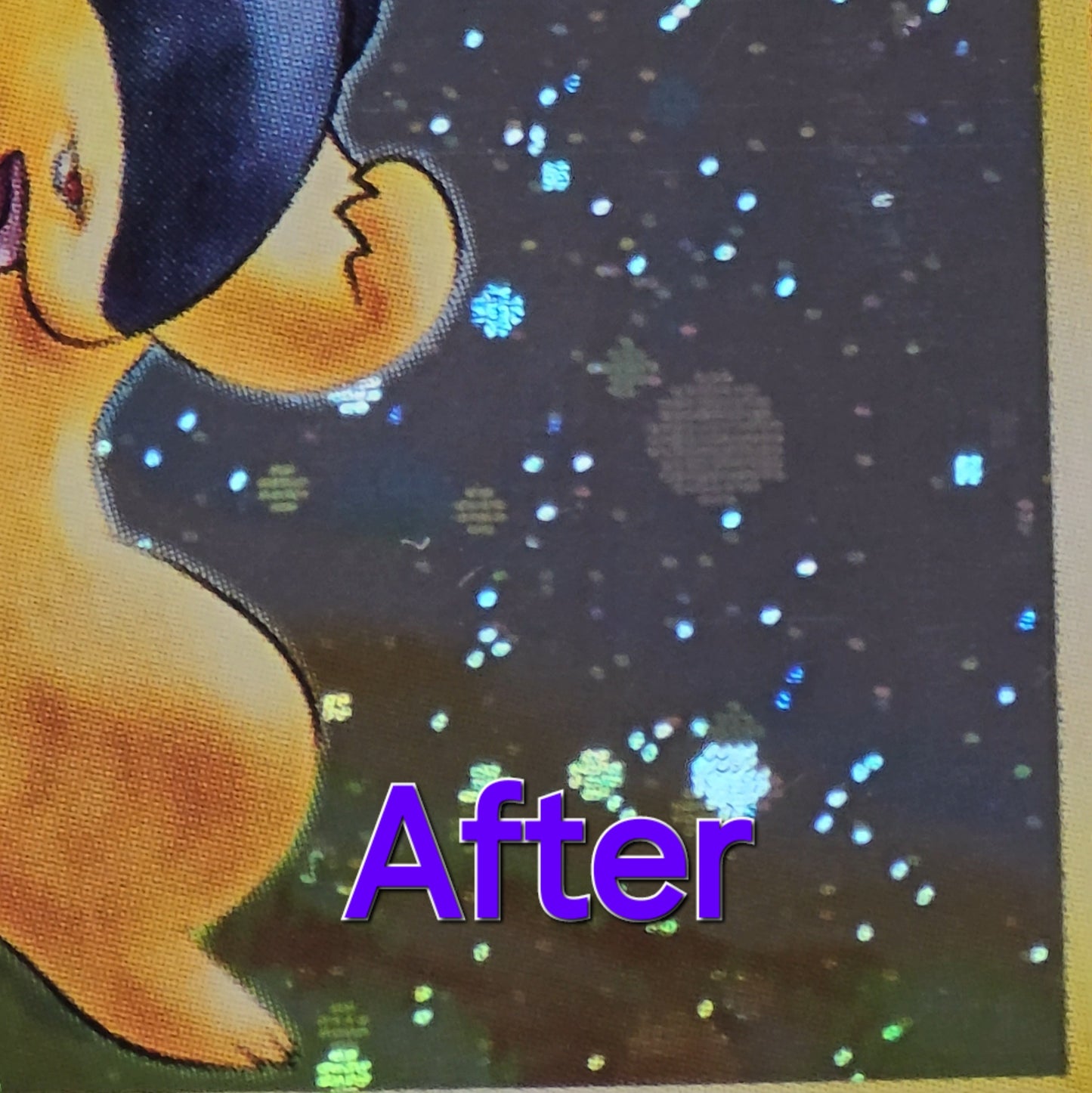 The Ultimate Collectible Detailing Starter Kit (Mirror Coat + Exp. 626)